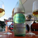 1907G 017 Mosel und Rhein